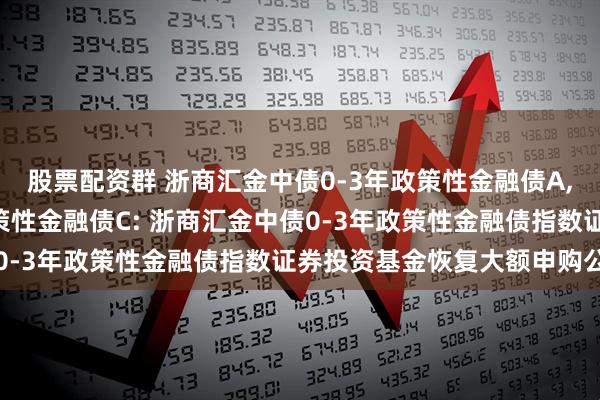 股票配资群 浙商汇金中债0-3年政策性金融债A,浙商汇金中债0-3年政策性金融债C: 浙商汇金中债0-3年政策性金融债指数证券投资基金恢复大额申购公告