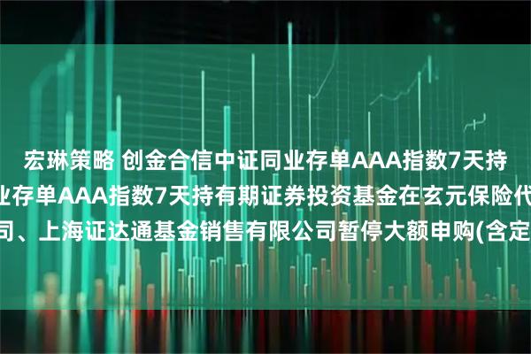 宏琳策略 创金合信中证同业存单AAA指数7天持有期: 创金合信中证同业存单AAA指数7天持有期证券投资基金在玄元保险代理有限公司、上海证达通基金销售有限公司暂停大额申购(含定期定额投资)、大额转换转入业务的公告
