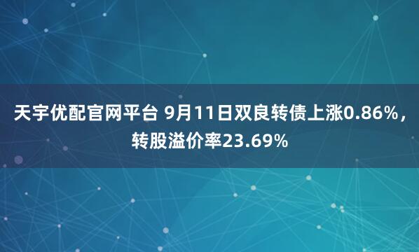 天宇优配官网平台 9月11日双良转债上涨0.86%，转股溢价率23.69%