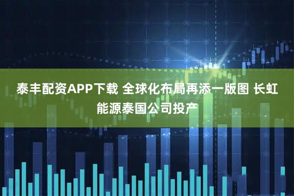 泰丰配资APP下载 全球化布局再添一版图 长虹能源泰国公司投产